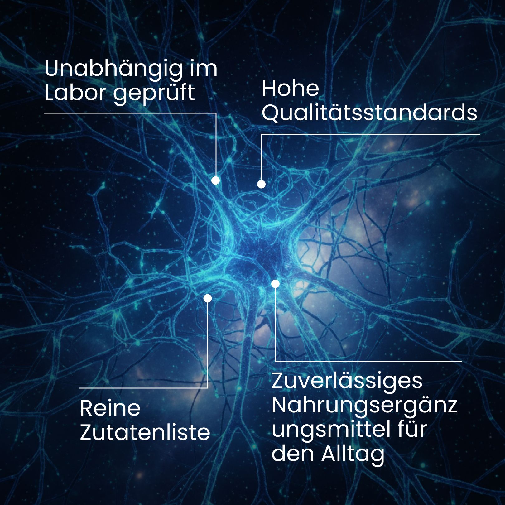 Abstrakte Darstellung von Neuronen. Text über Laborprüfung und Nahrungsergänzung.