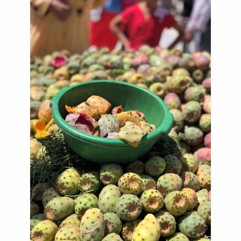 Opuntia von Vitamin Fuchs
