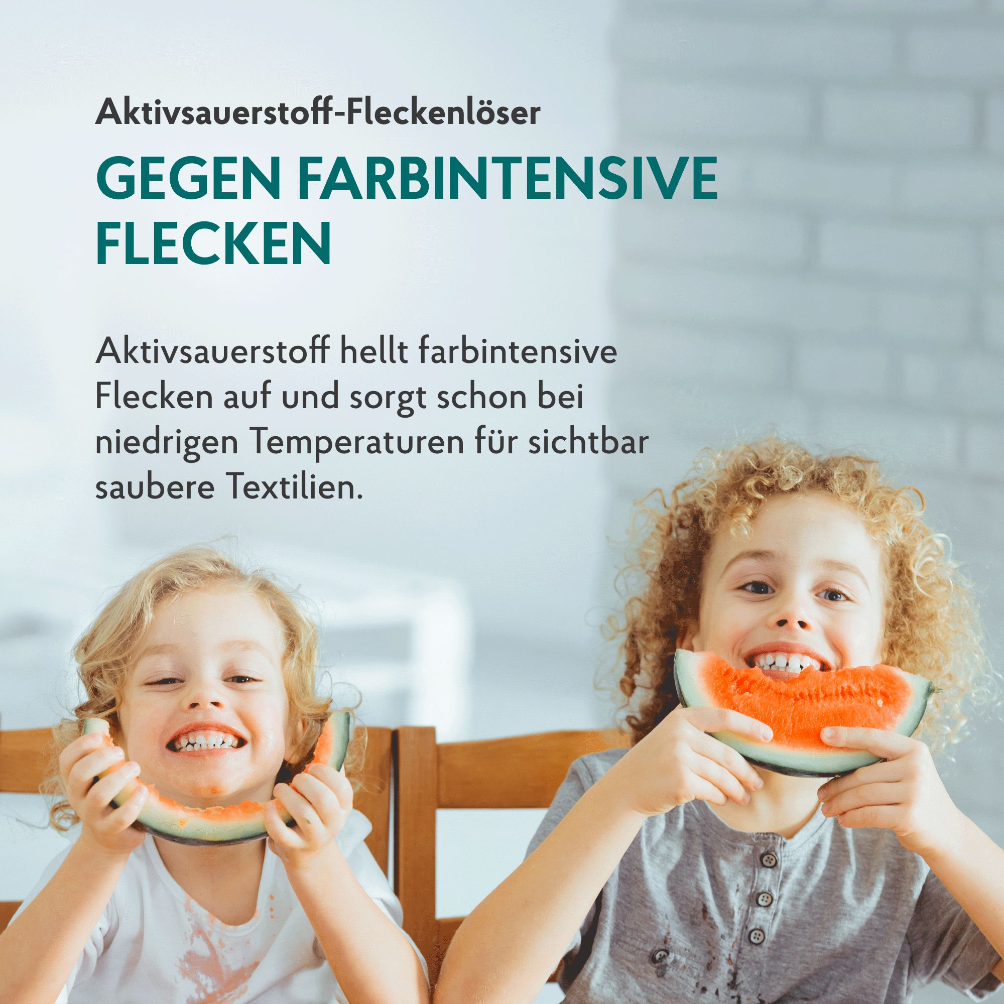 HAKA Fleckenvorbehandlung Aktivsauerstoff Fleckenentferner