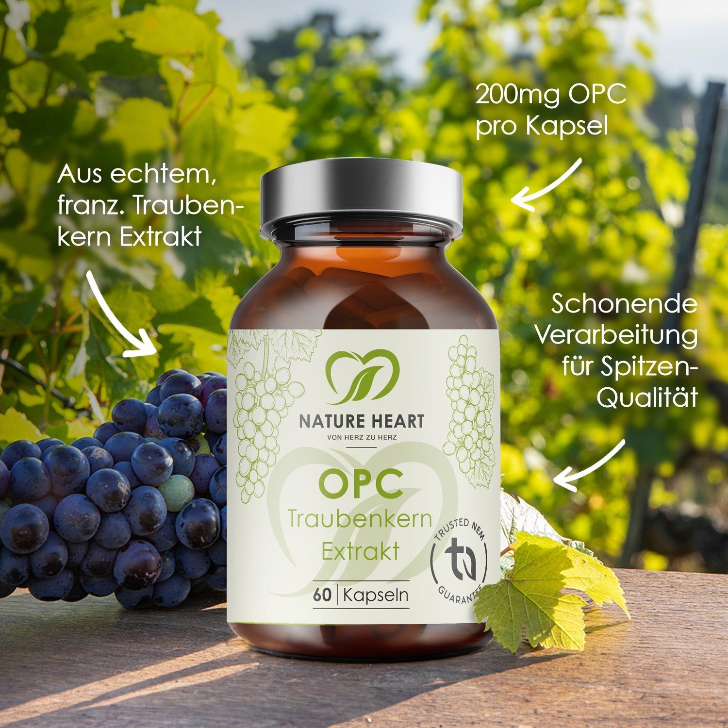 Braunglasflasche mit Kapseln. Aufschrift: OPC Traubenkern Extrakt, 60 Kapseln. Logo: Nature Heart. Siegel: Trusted NEM. Hintergrund: Weinreben.