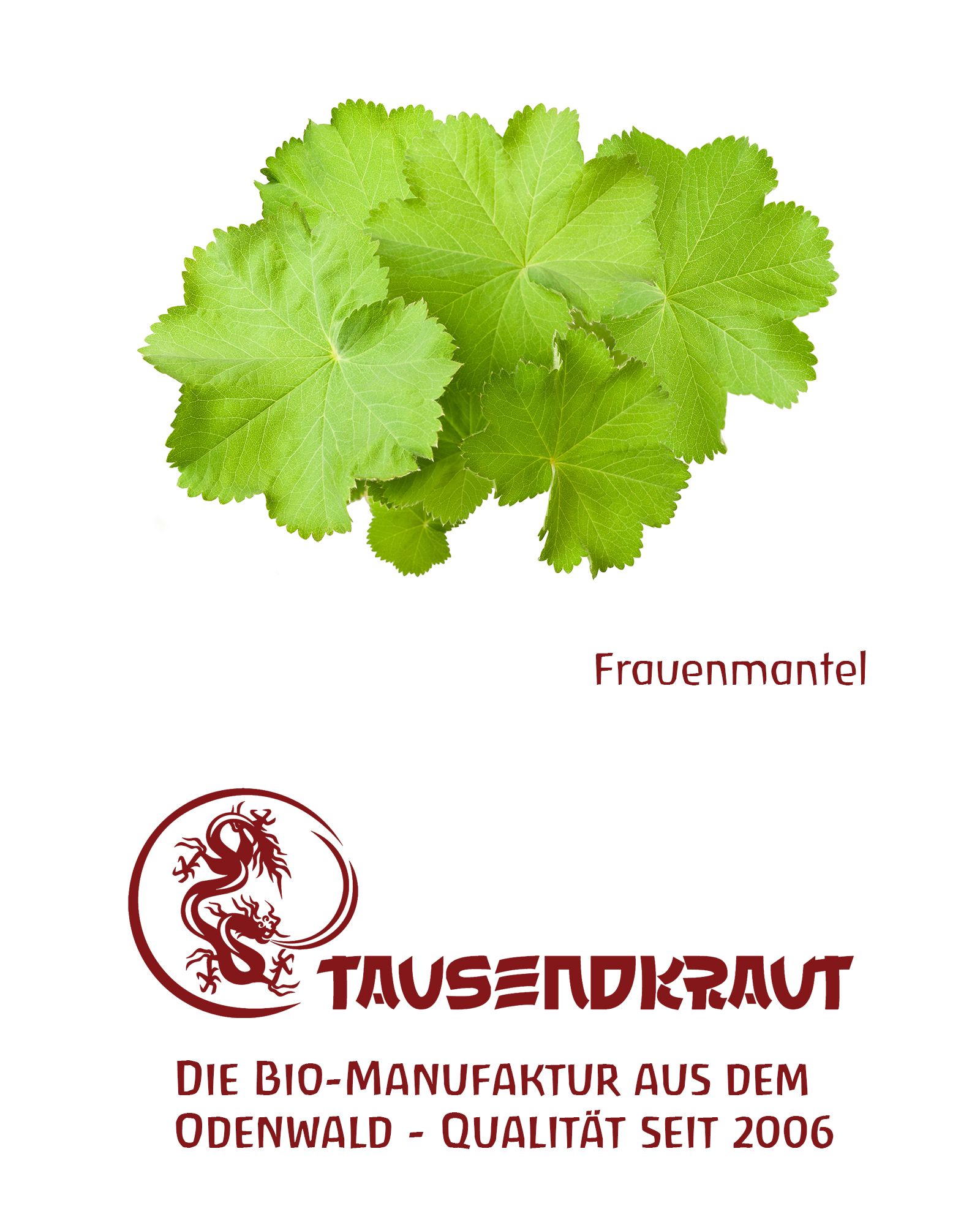 Tausendkraut Frauenmantel Kraut BIO