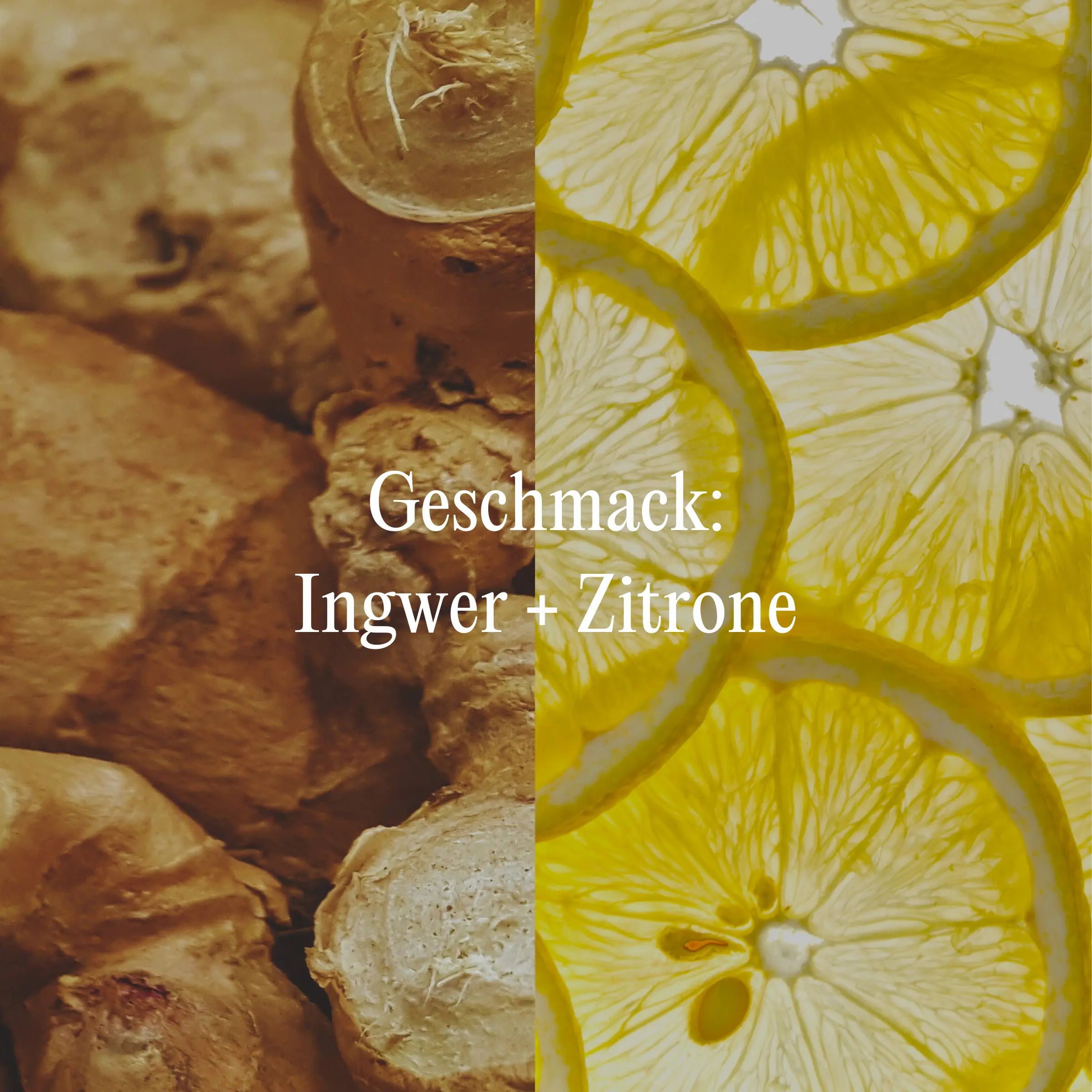 Zwei Hälften: Ingwer und Zitronenscheiben. Text: Geschmack: Ingwer + Zitrone.