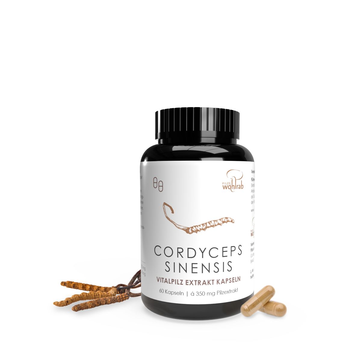 Cordyceps Sinensis Extrakt Konventionell Kapseln 60 St