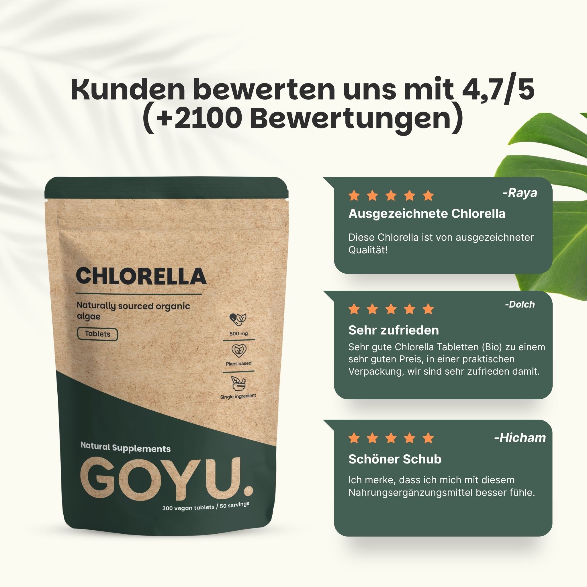 Text über Chlorella: Reich an Nährstoffen, Vitalität & Balance, gesunder Lebensstil.