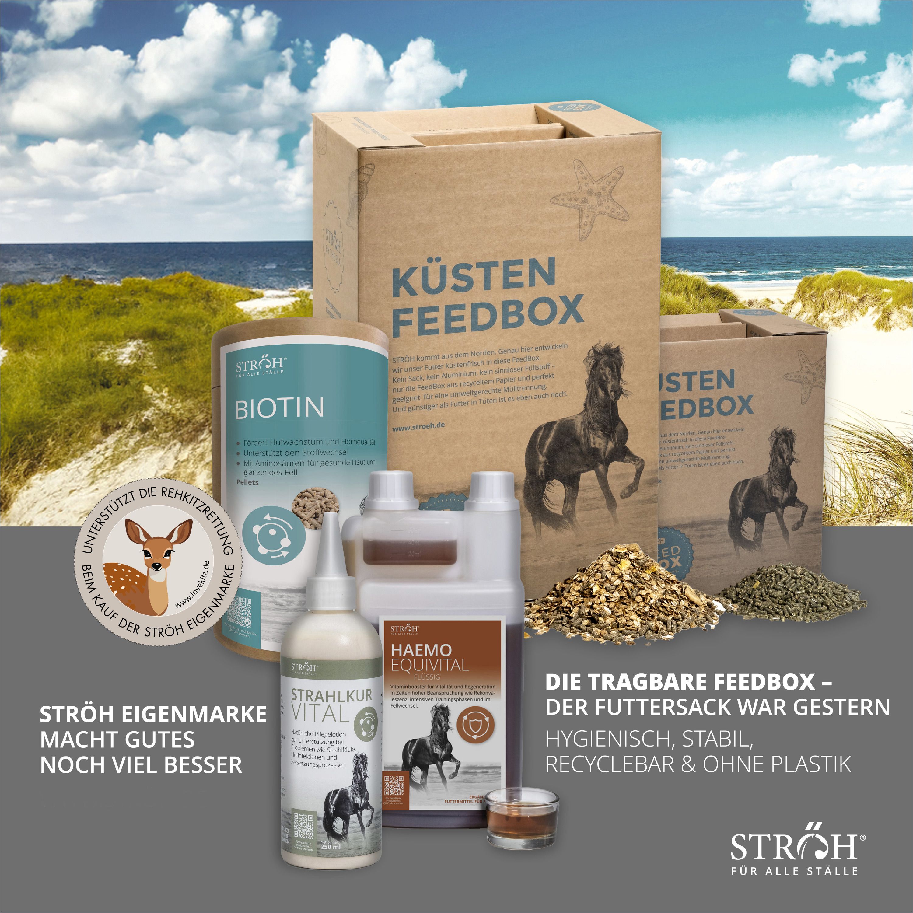Verschiedene Produkte, darunter Mariendistelöl Flüssig, auf dem Strand. Verpackungen mit Logo und Text.