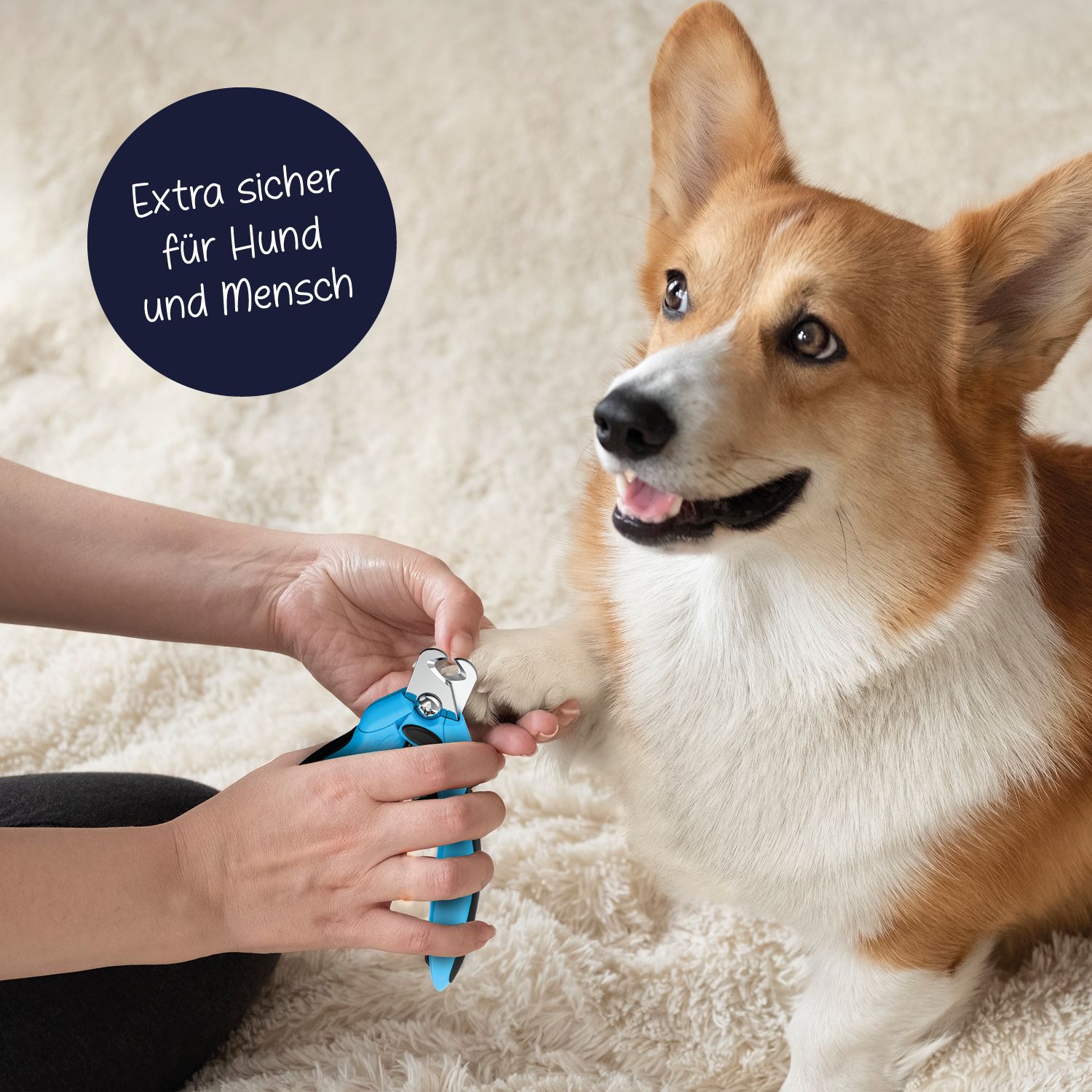 Hundepflege24 Krallenschere / Krallenzange Set Hunde und Katzen inkl. Nagelfeile