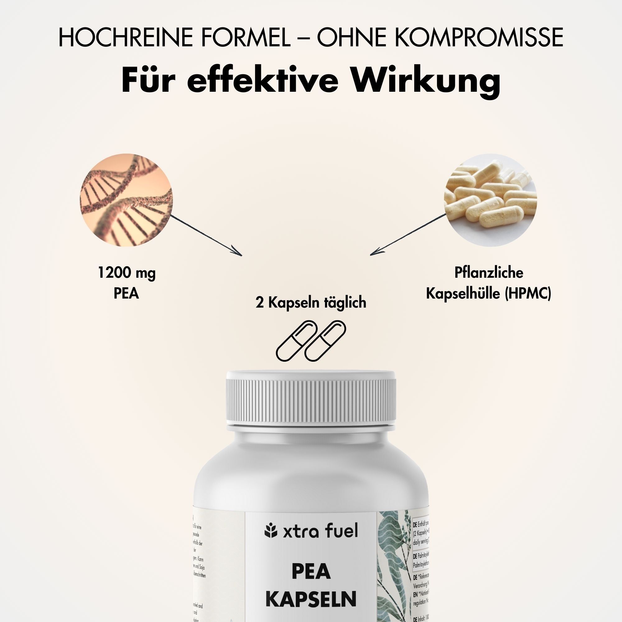 Kapseln und Inhaltsstoffe. 1200 mg PEA. 2 Kapseln täglich. Pflanzliche Kapselhülle (HPMC).