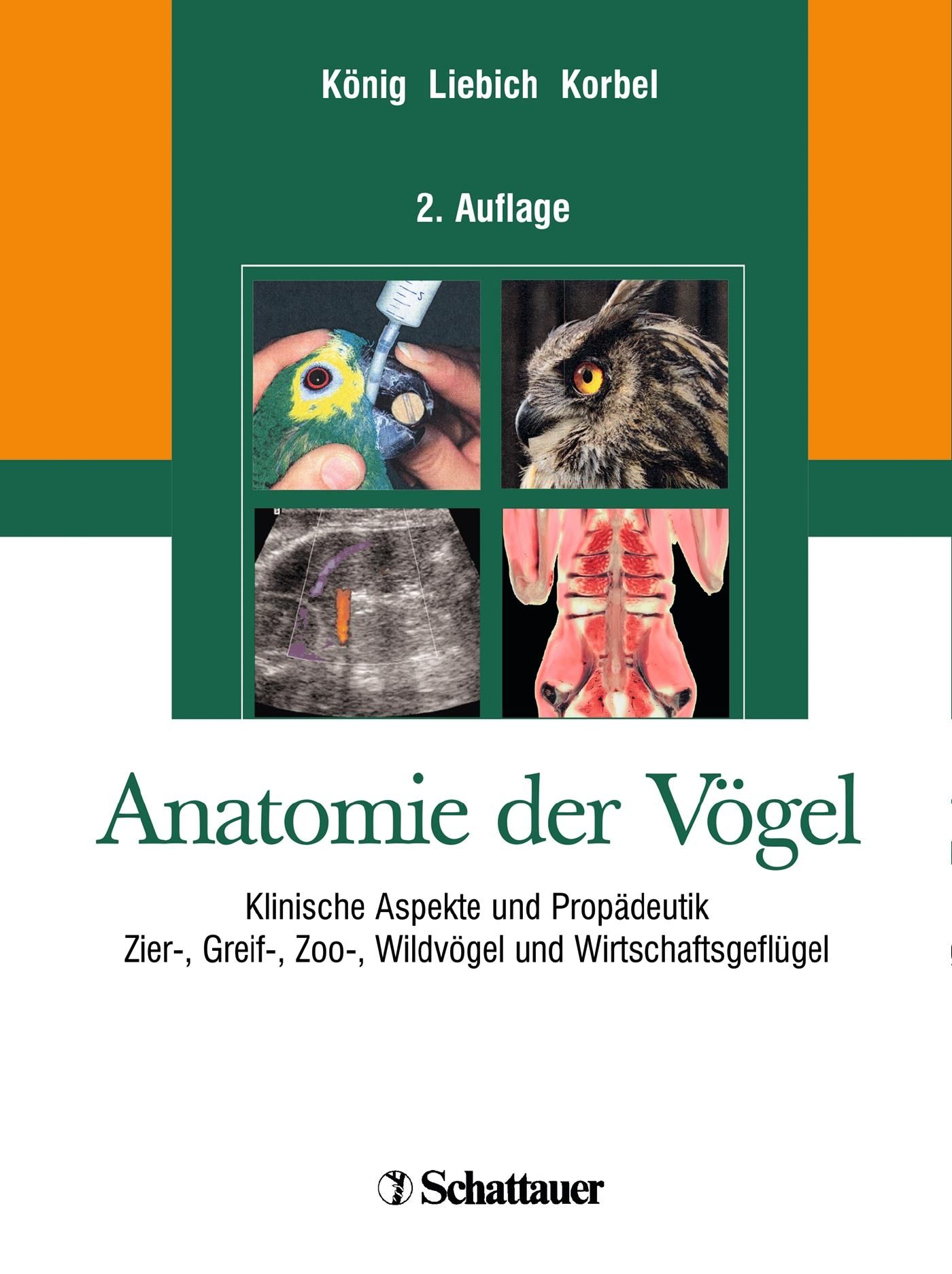 Anatomie der Vögel Klinische Aspekte und Propädeutik. Zier-, Greif-, Zoo-, Wildvögel und Wirtscha...