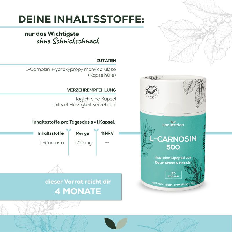 Produktabbildung mit Sanutrition L-Carnosin 500 Dose und Inhaltsstoffinformationen. 120 Kapseln, Verzehrempfehlung, 4-Monats-Vorrat.