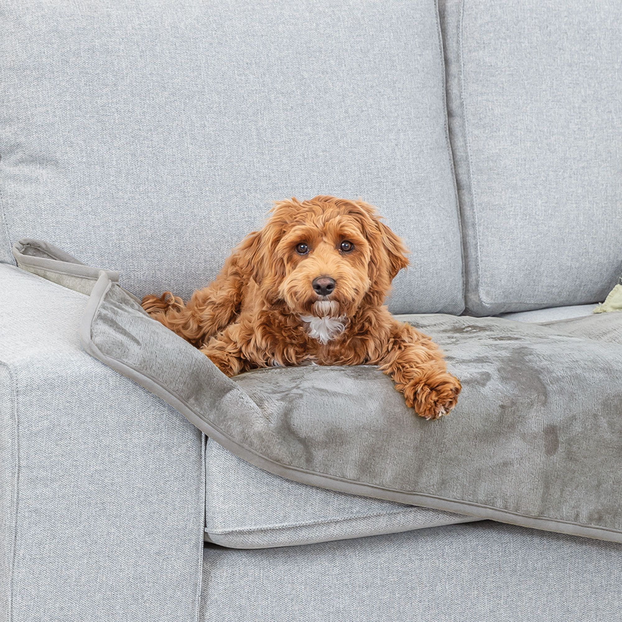 Trixie Levy wasserabweisende Hundedecke