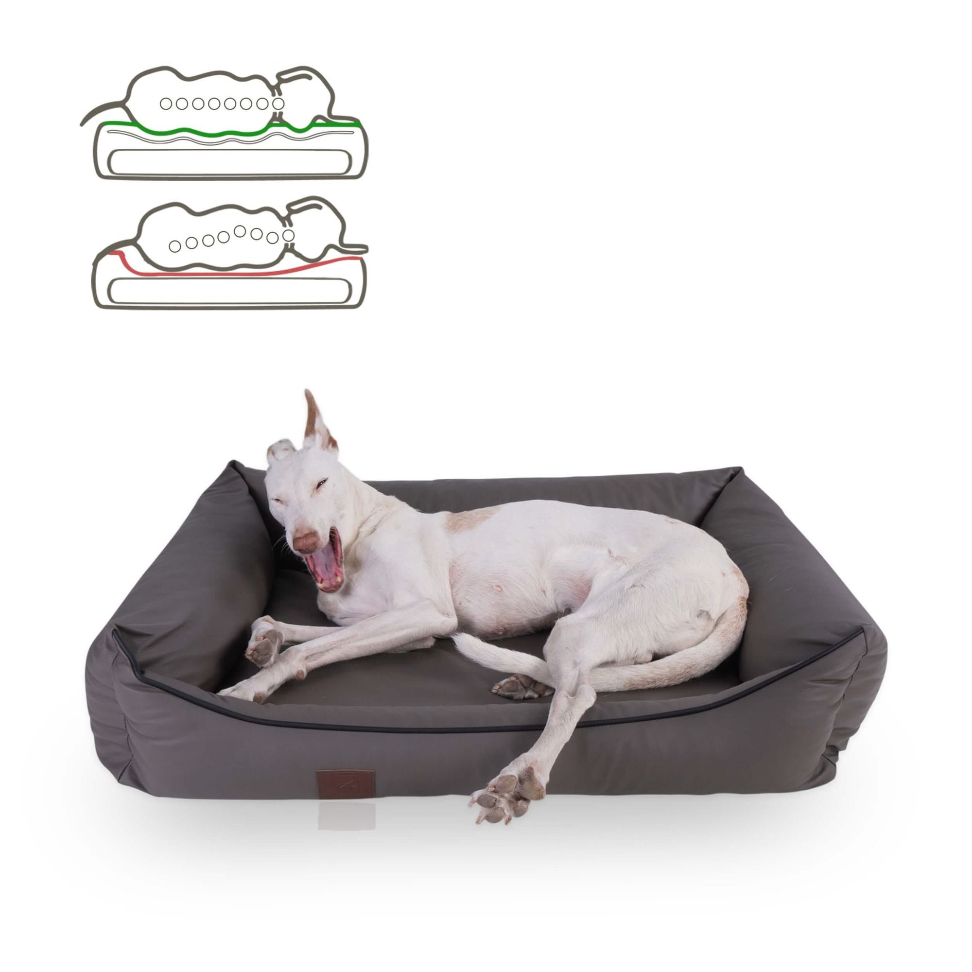 Hundebett, Kunstleder, Farbe Taupe. Hund liegt im Bett. Skizze: Liegepositionen. Schwarze Kontur.