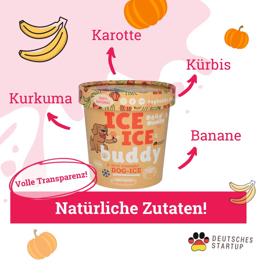 BeG Buddy Starter-Kit Dog Eis für Hunde
