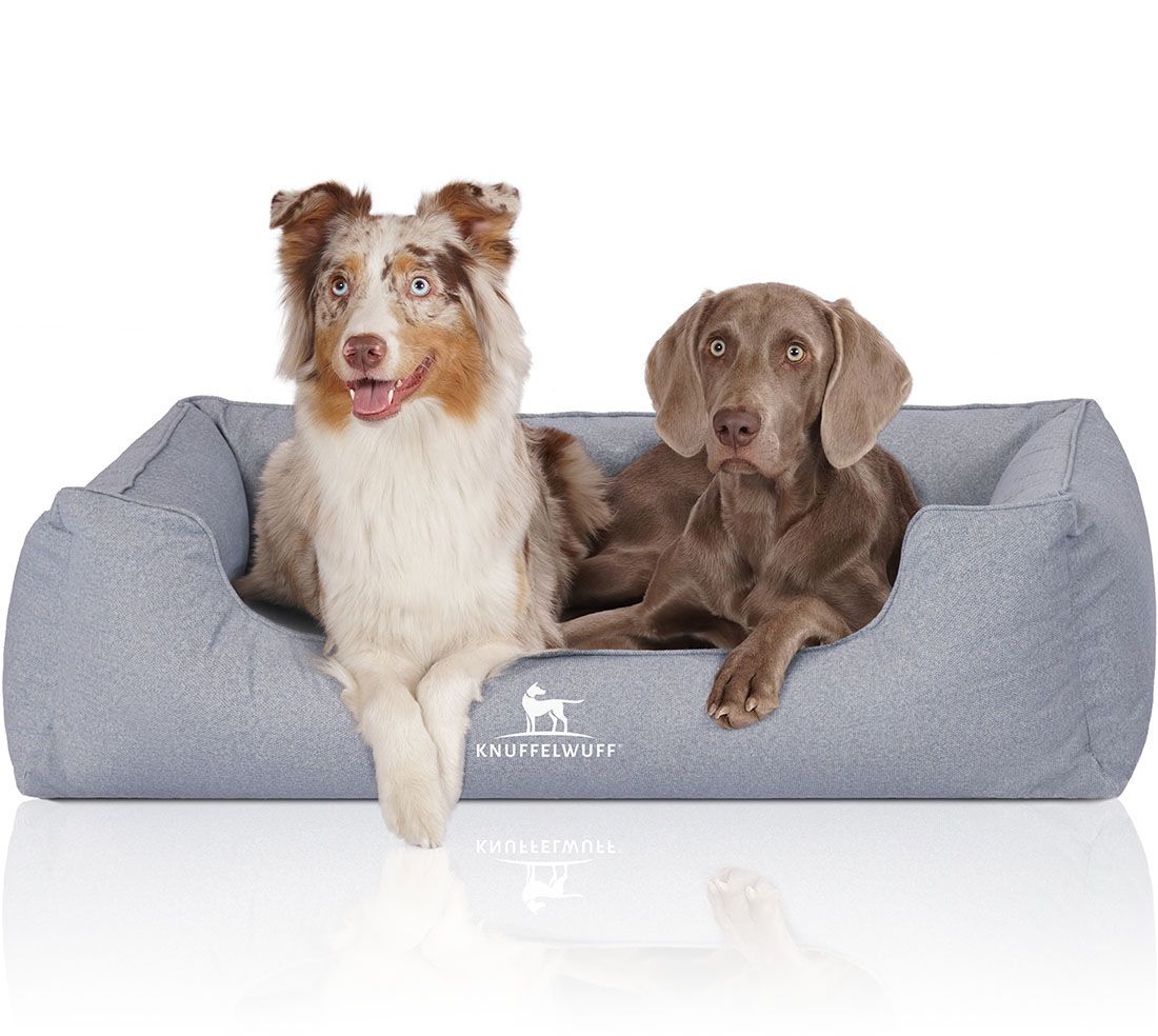 Zwei Hunde liegen in einem grauen Hundebett. Das Logo "Knuffelwuff" ist sichtbar. Verschiedene Hunderassen.