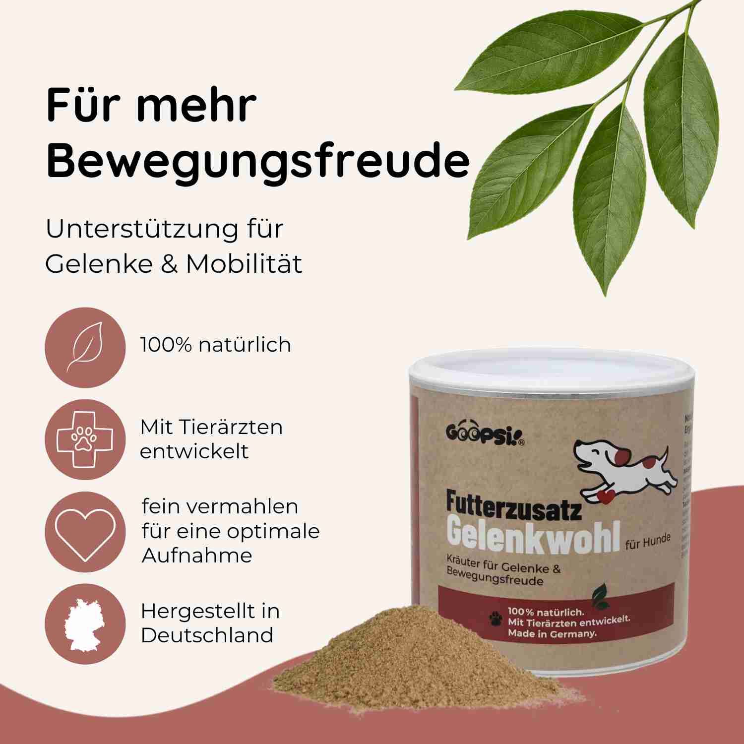 Dose Futterzusatz Gelenkwohl für Hunde. Links daneben Icons: Blatt, Pfote im Kreuz, Herz, Deutschlandkarte.