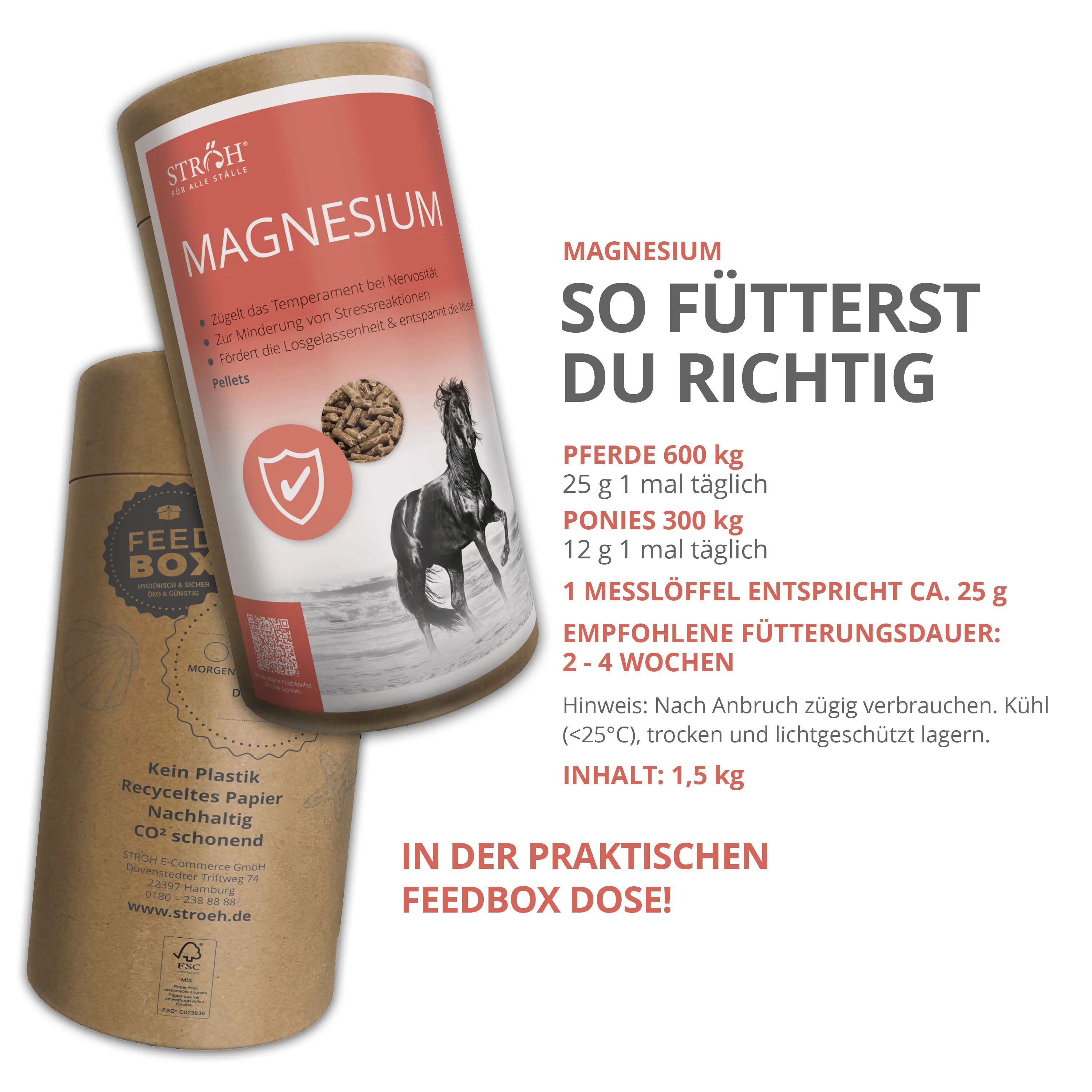 Zwei zylindrische Dosen. Eine mit rotem Etikett: Magnesium. Eine mit braunem Etikett: Feel Box. Text.