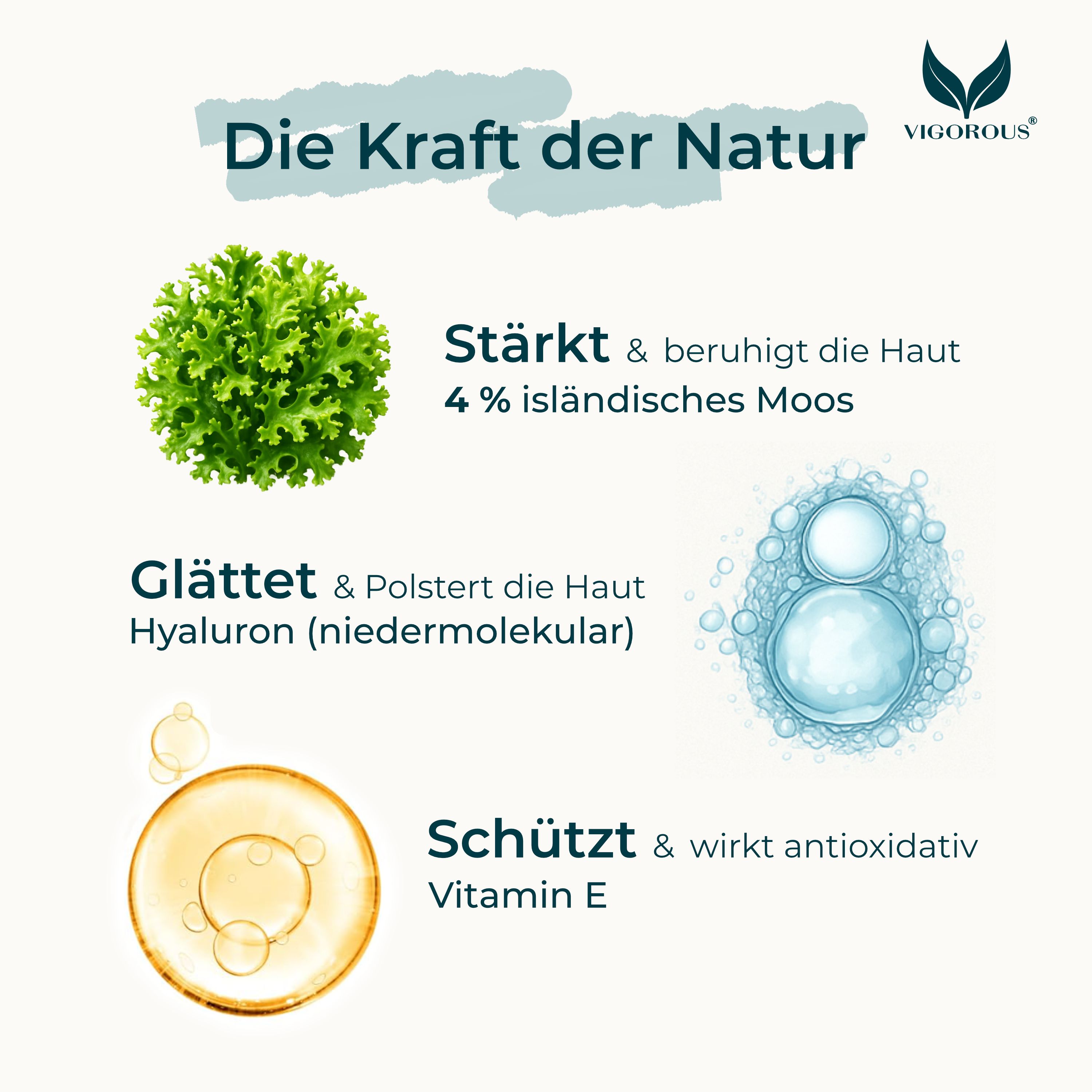 Grafik mit Text: Stärkt & beruhigt die Haut, 4% isländisches Moos. Glättet & polstert die Haut, Hyaluron. Schützt & wirkt antioxidativ, Vitamin E.