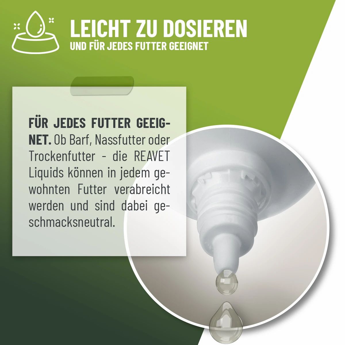 ReaVET Bronchial Liquid: Text über einfache Dosierung und Eignung für jedes Futter. Nahaufnahme des Tropfers mit abtropfenden Tropfen.