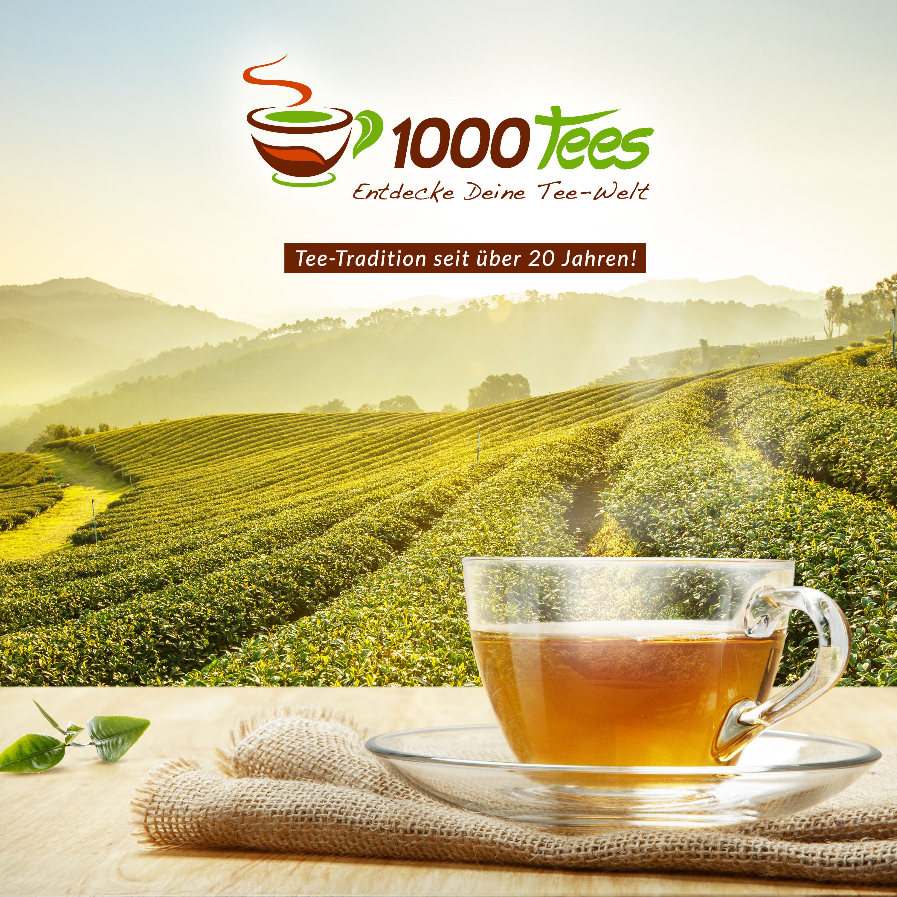 tea4me BIO Holunderblüten (Holunderblütentee) Kräuterwohl