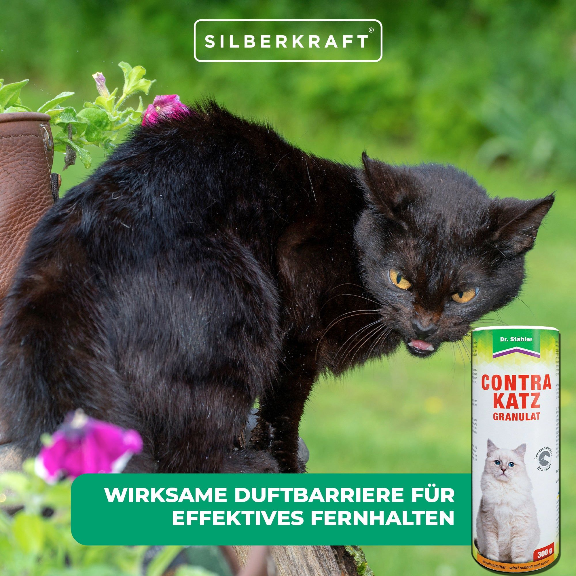 SILBERKRAFT Contra Katz Granulat