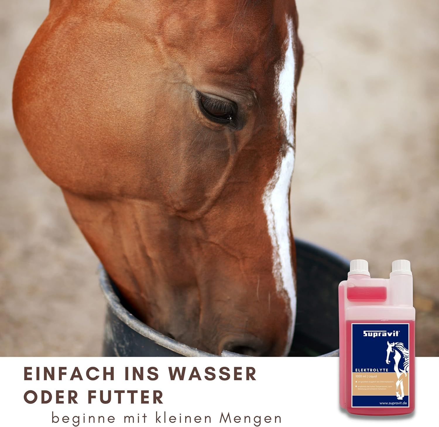Pferd trinkt aus Eimer. Rechts: Flasche Supravit Elektrolyte. Text: Einfach ins Wasser oder Futter.