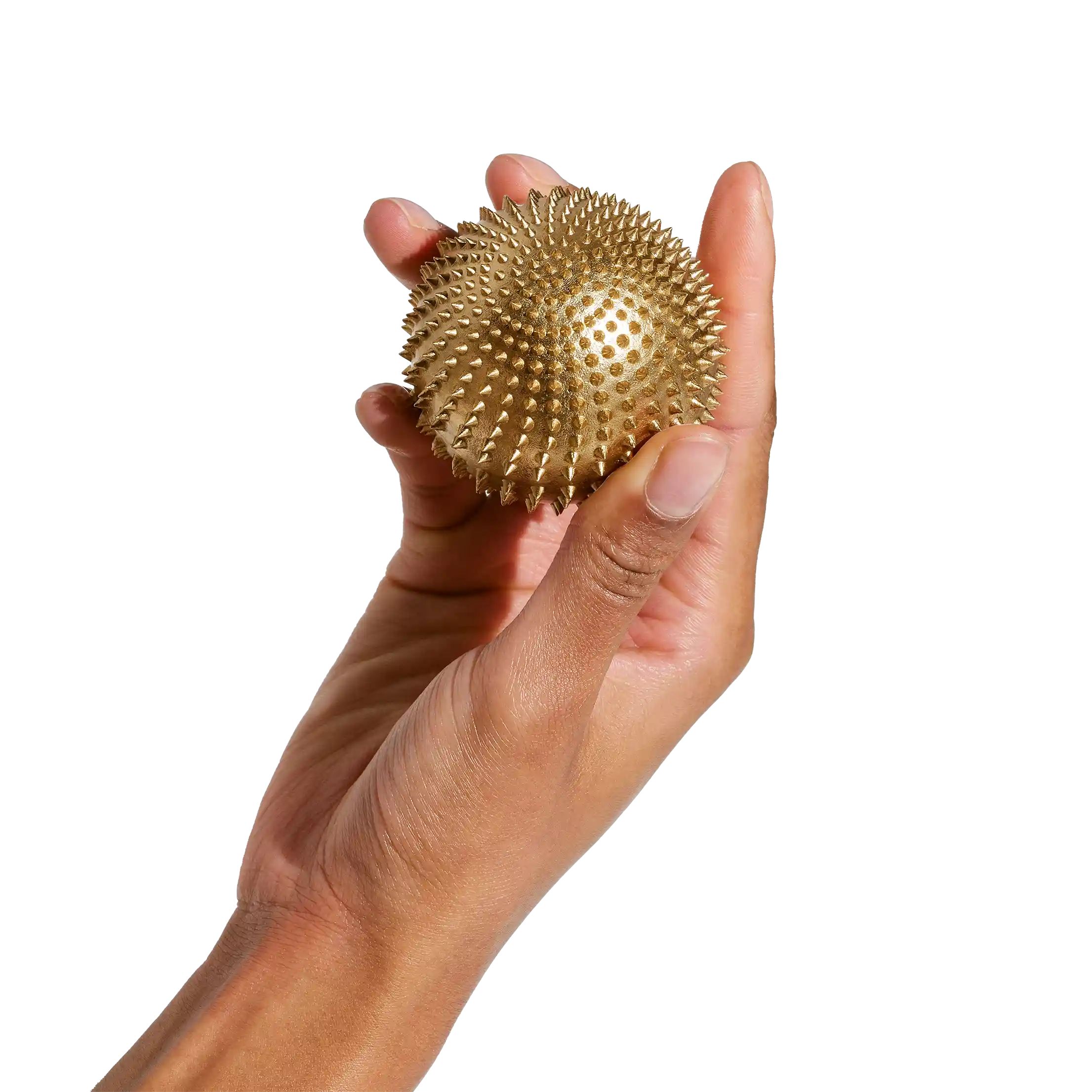 Shakti Spiky Ball