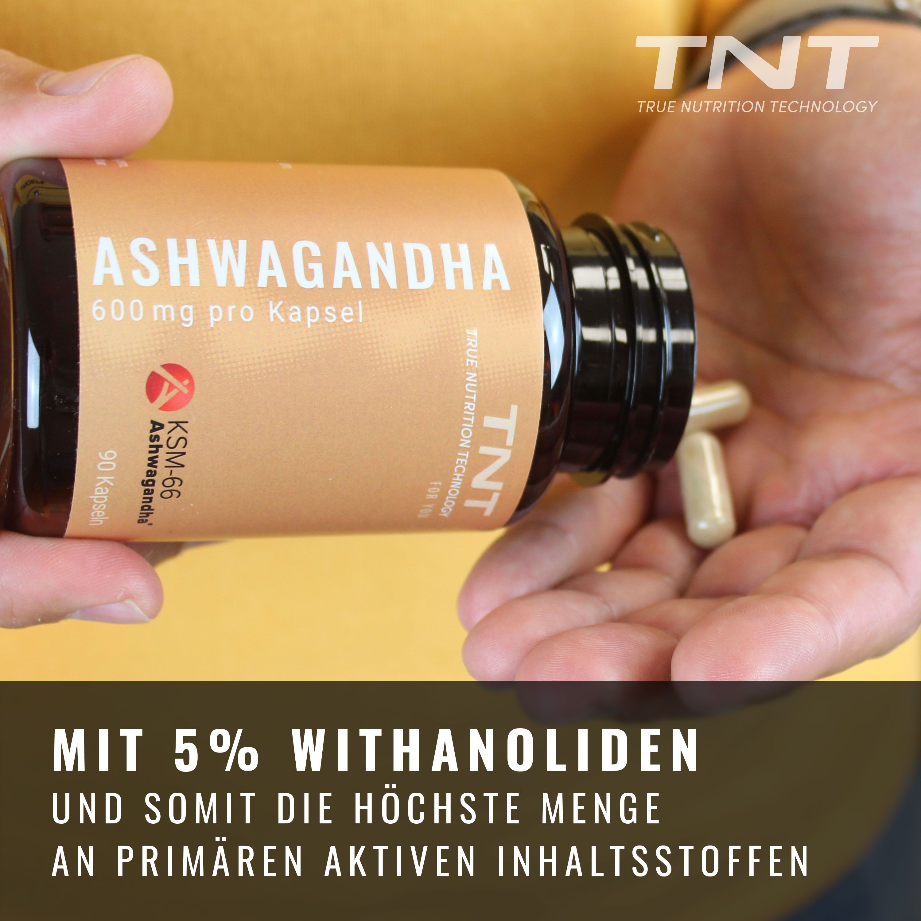 Hand hält Kapseln. Aufschrift: Ashwagandha 600 mg pro Kapsel. KSM-66 Ashwagandha. Gelbe Hintergrund. Text: Mit 5% Withanoliden.