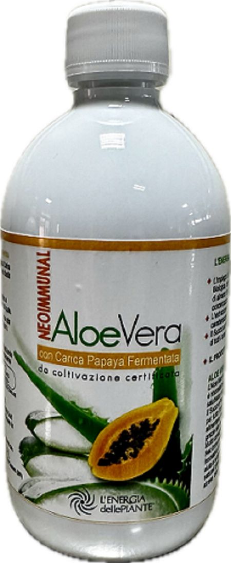 L'Energia delle Piante Aloe Vera Papaya