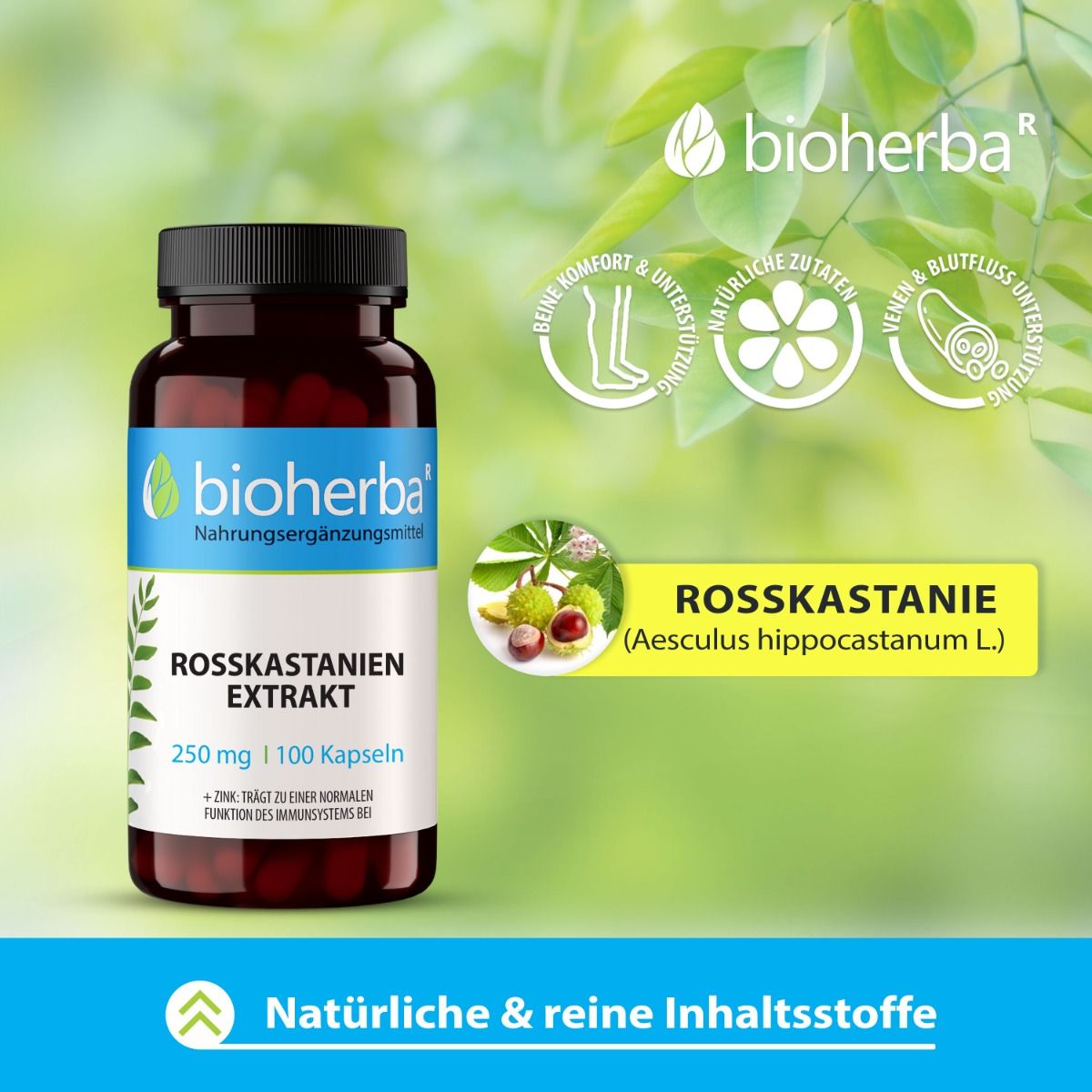 Rosskastanien Extrakt 250 mg 100 Kapseln PZN 18216947