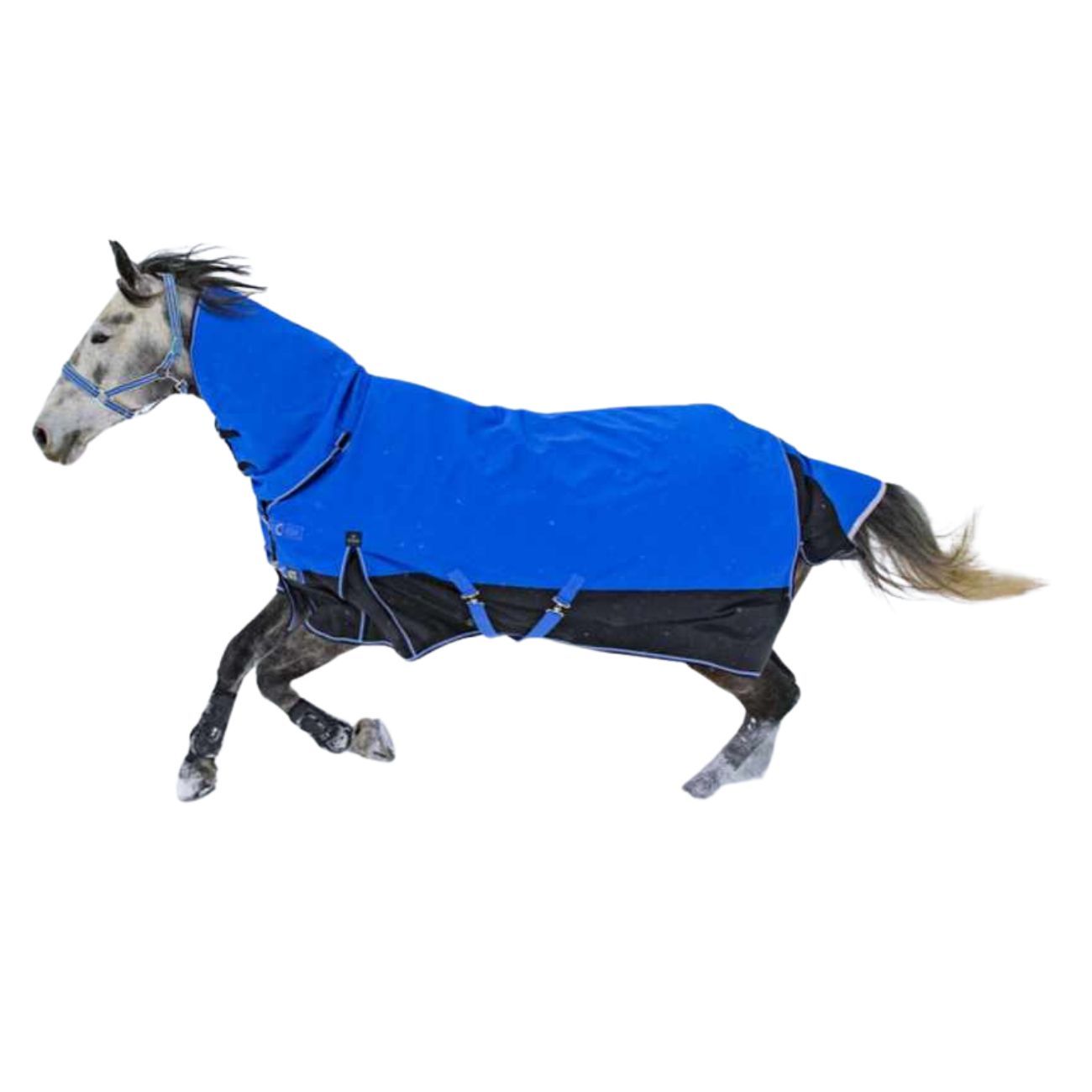 Equitheme Tyrex Outdoordecke