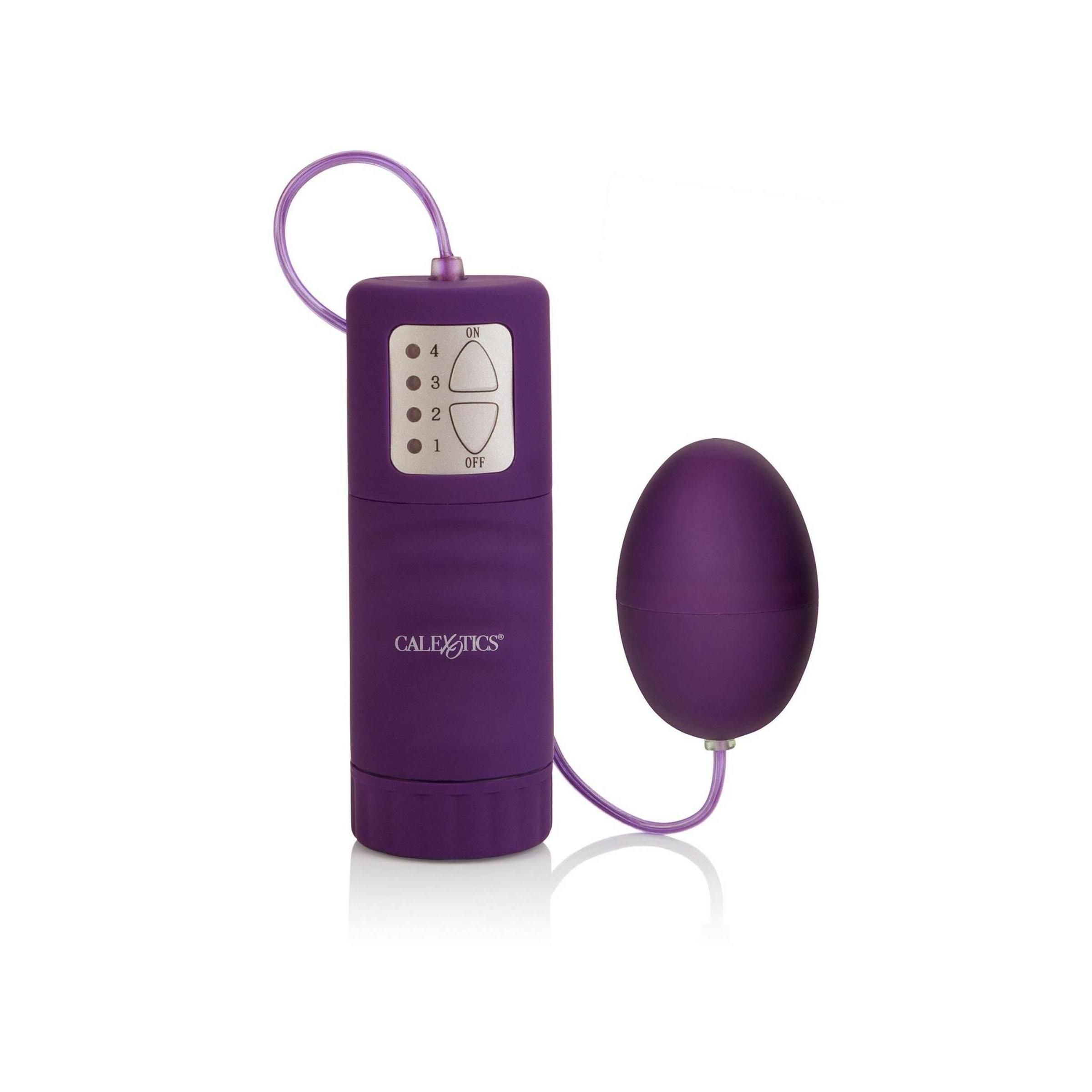 Lila Ei mit Kabel und Fernbedienung. Text: CalExotics. Fernbedienung mit Knöpfen 1-4 und Aus.