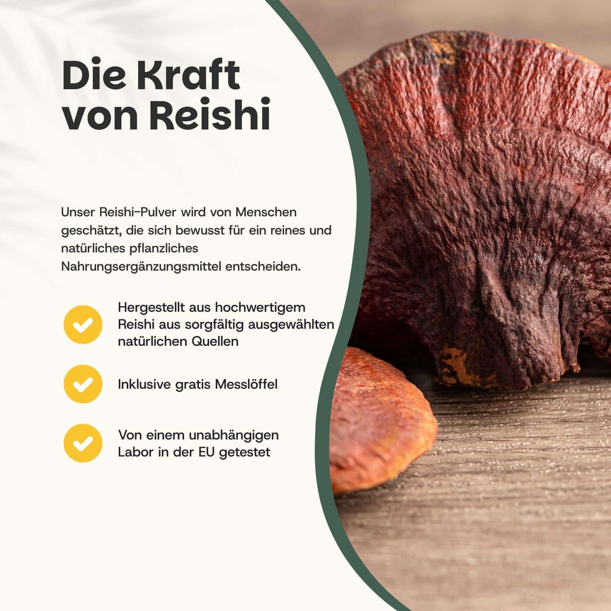 Reishi-Pilz. Text: Die Kraft von Reishi. Hergestellt aus hochwertigem Reishi. Inkl. Messlöffel.