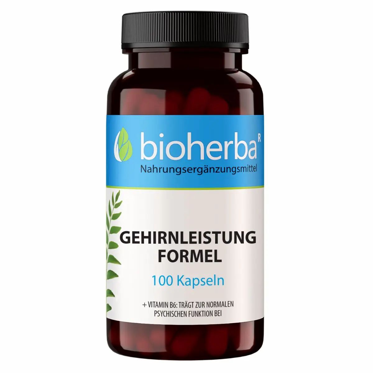 Bioherba Gehirnleistung Formel Kapseln