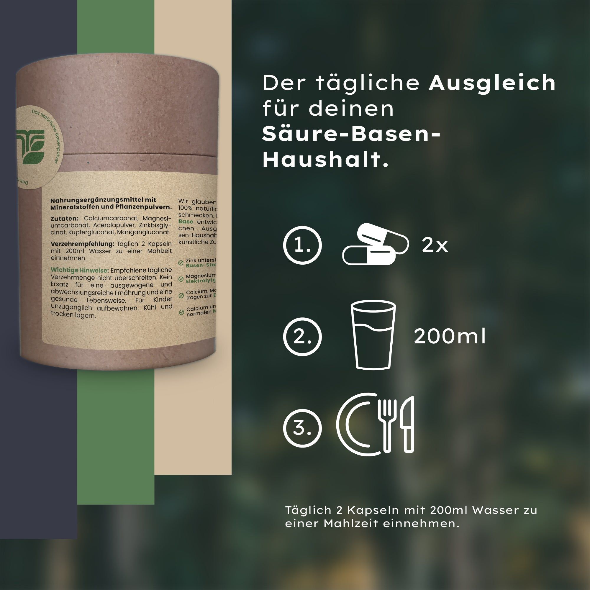 TerraBase® natürliche Basenpulver Kapseln