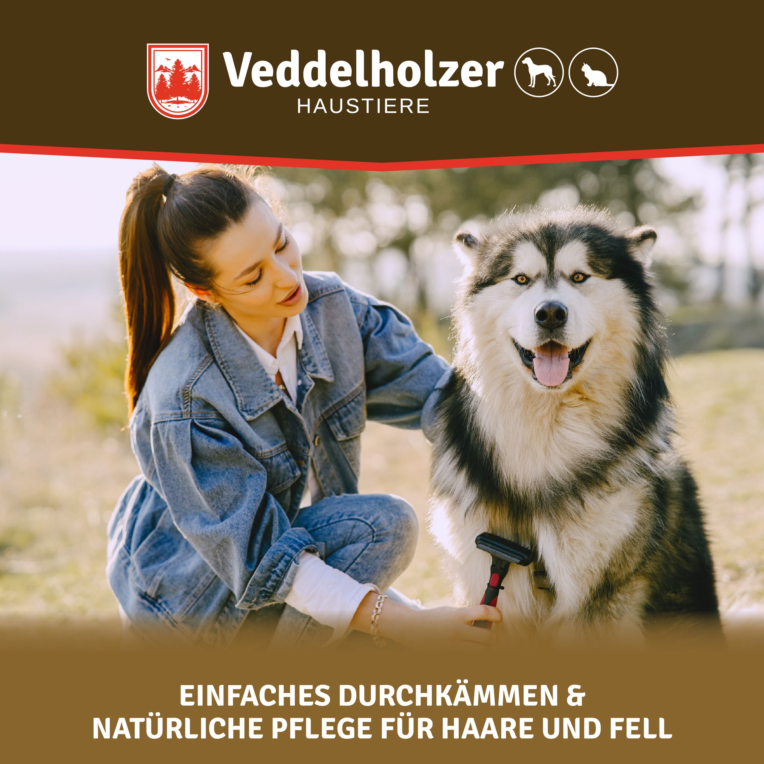 Frau kämmt Hund. Hintergrund: braun. Text: "Einfaches Durchkämmen & natürliche Pflege für Haare und Fell". Logo: Veddelholzer.