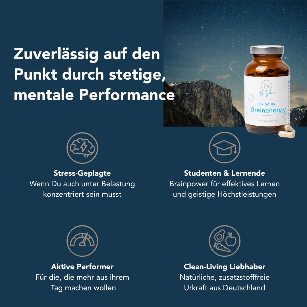 Dr. Şahin Brainenergy*