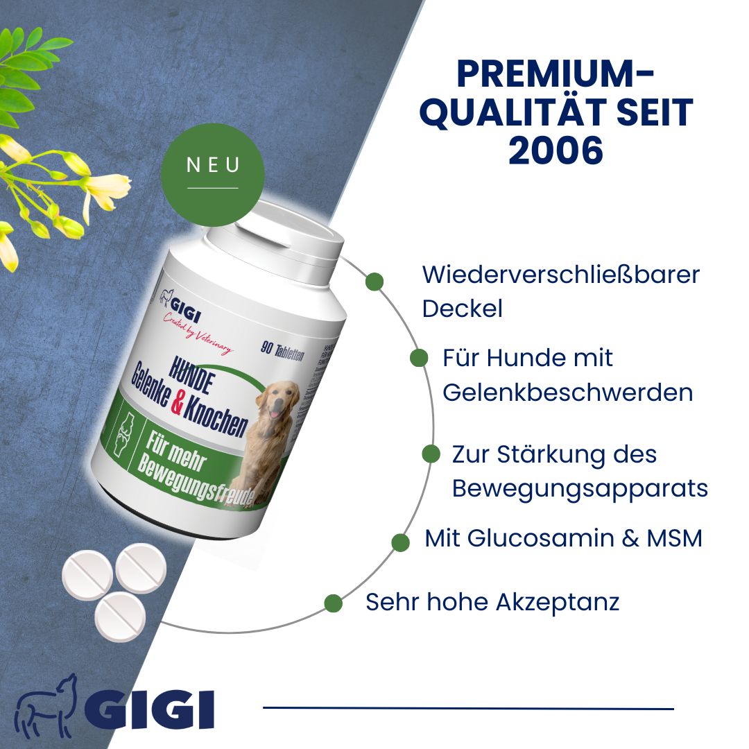 Tabletten-Dose mit 'Gelenke & Knochen'. Text: 'Premium-Qualität seit 2006'. Wiederverschließbarer Deckel.