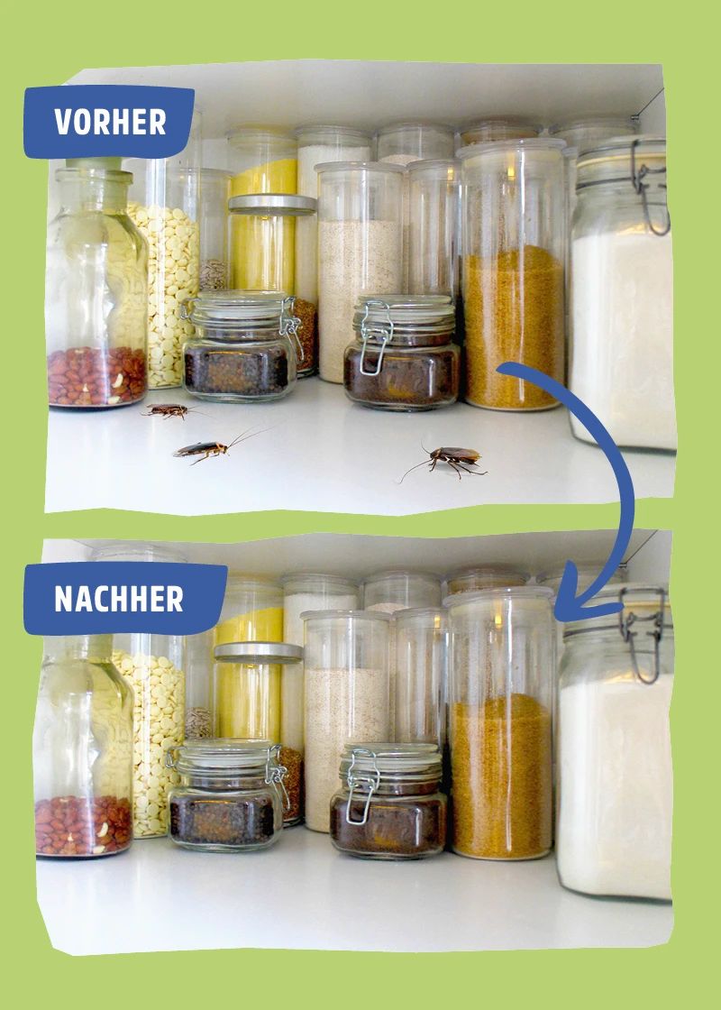 Vorher-Nachher-Bild. Zeigt einen Schrank mit Lebensmitteln. Vorher: Kakerlaken. Nachher: keine Kakerlaken.
