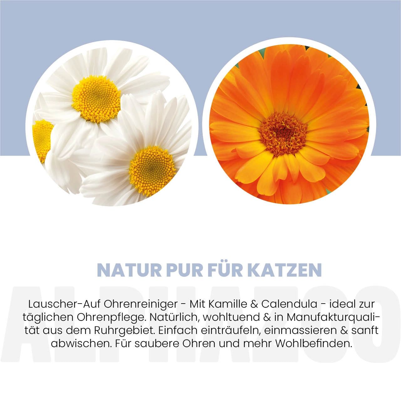 Nahaufnahme von Kamille und Ringelblume. Text: Natur pur für Katzen. Lauscher-Auf Ohrenreiniger mit Kamille & Calendula.
