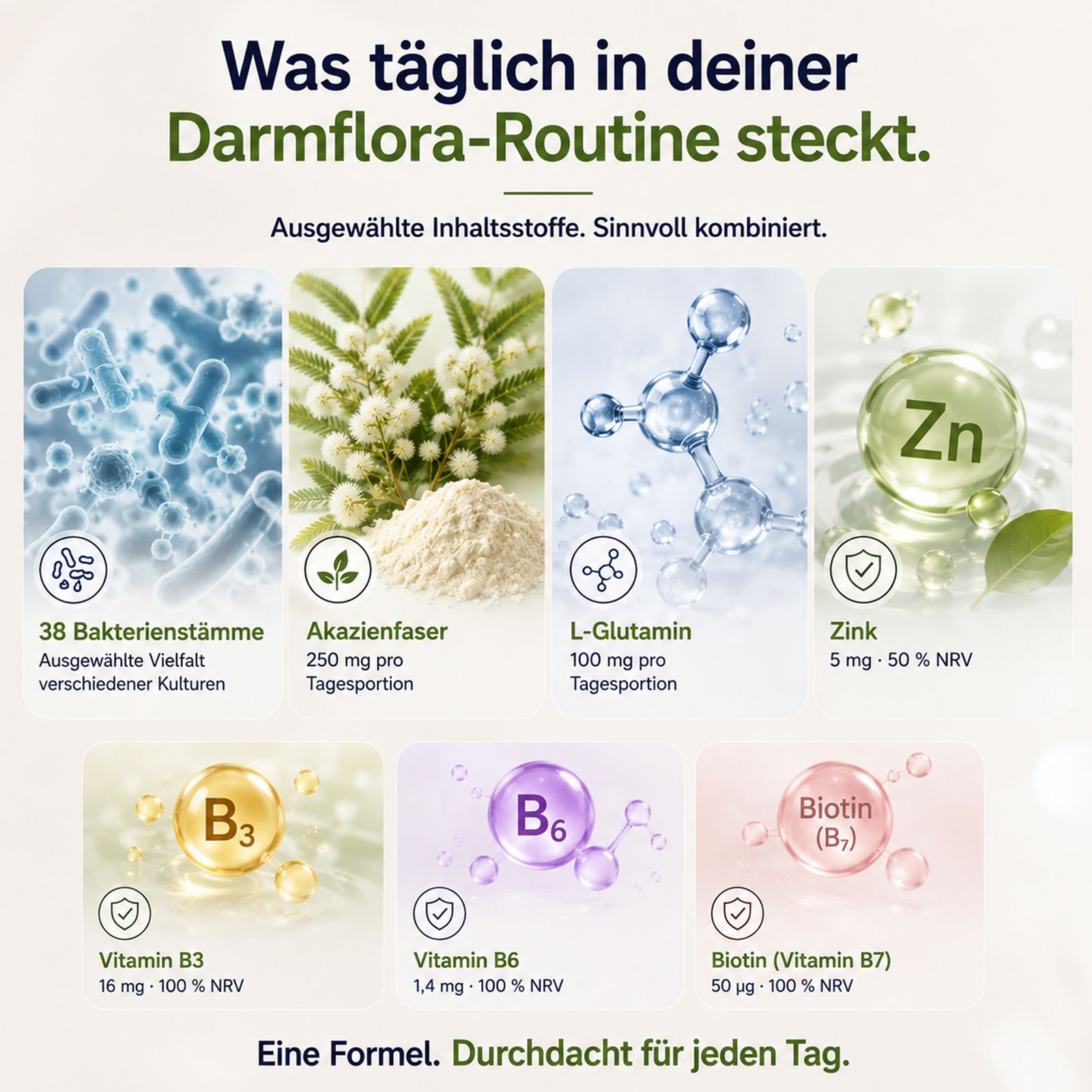 Grafiken, die die Inhaltsstoffe wie Bakterienstämme, Akazienfaser, L-Glutamin, Zink, B3, B6 und Biotin darstellen.