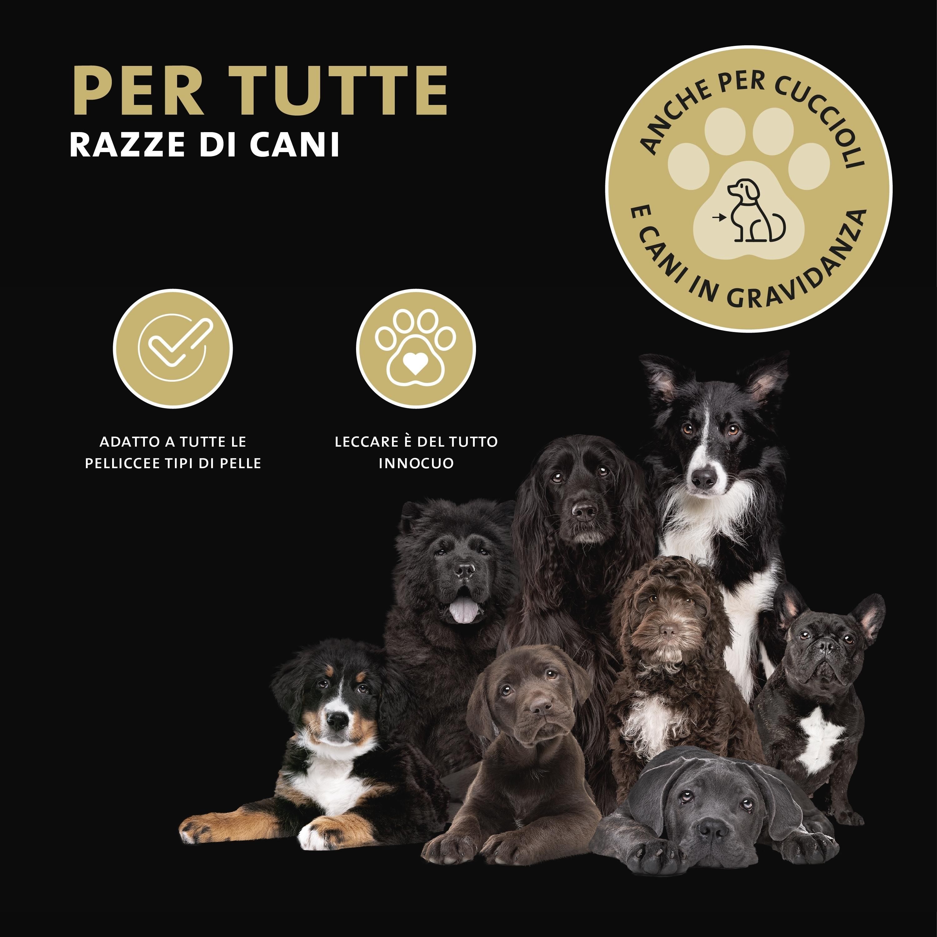 Hunde verschiedener Rassen. Text: Für alle Hunderassen. Auch für Welpen und trächtige Hunde.