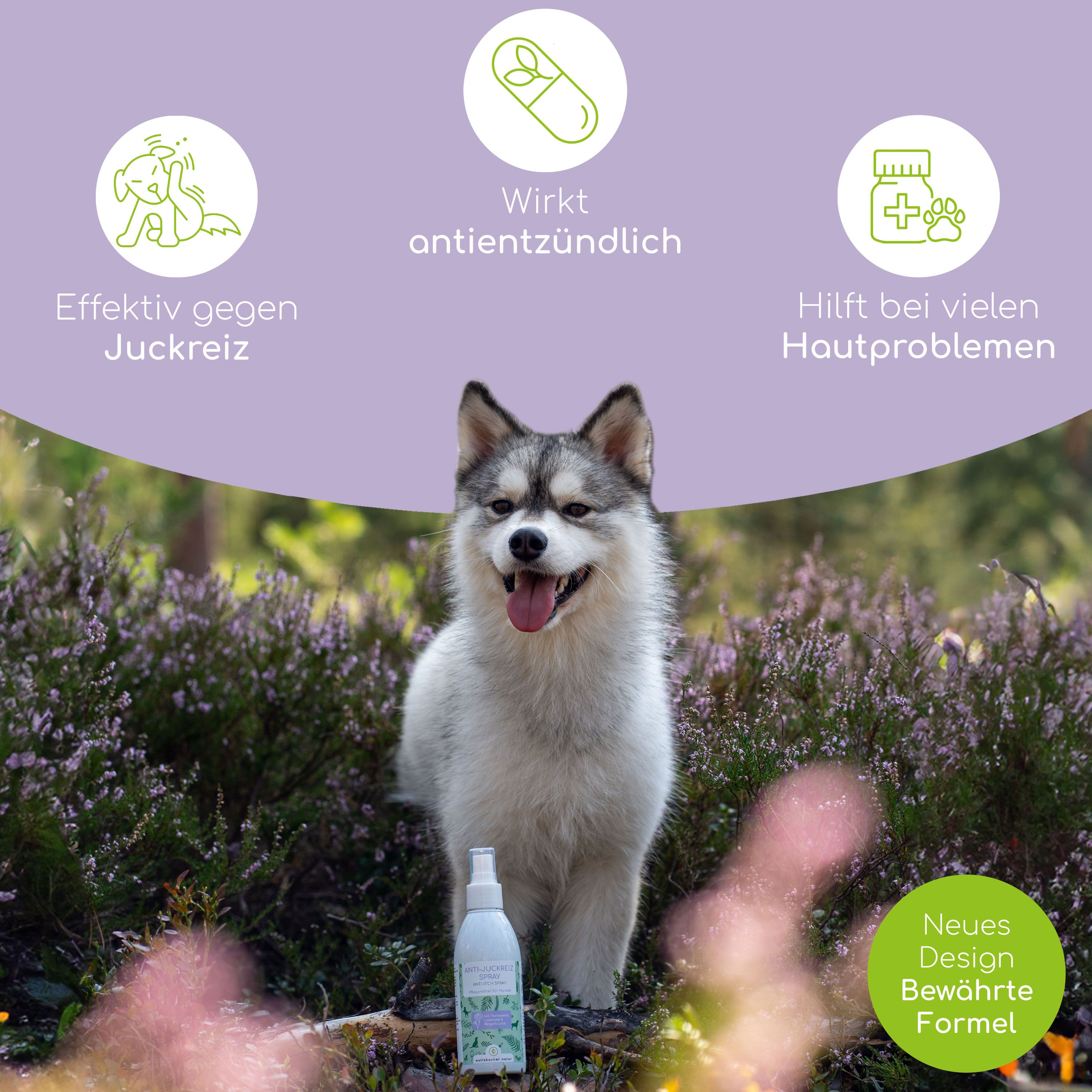 Hund im Freien, neben einer Flasche Anti-Juckreiz Spray. Text: Wirkt entzündungshemmend, hilft bei Hautproblemen, effektiv gegen Juckreiz.