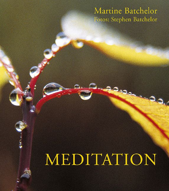 Buchcover mit dem Titel "Meditation". Auf einem Blatt mit Wassertropfen steht der Titel in gelber Schrift.
