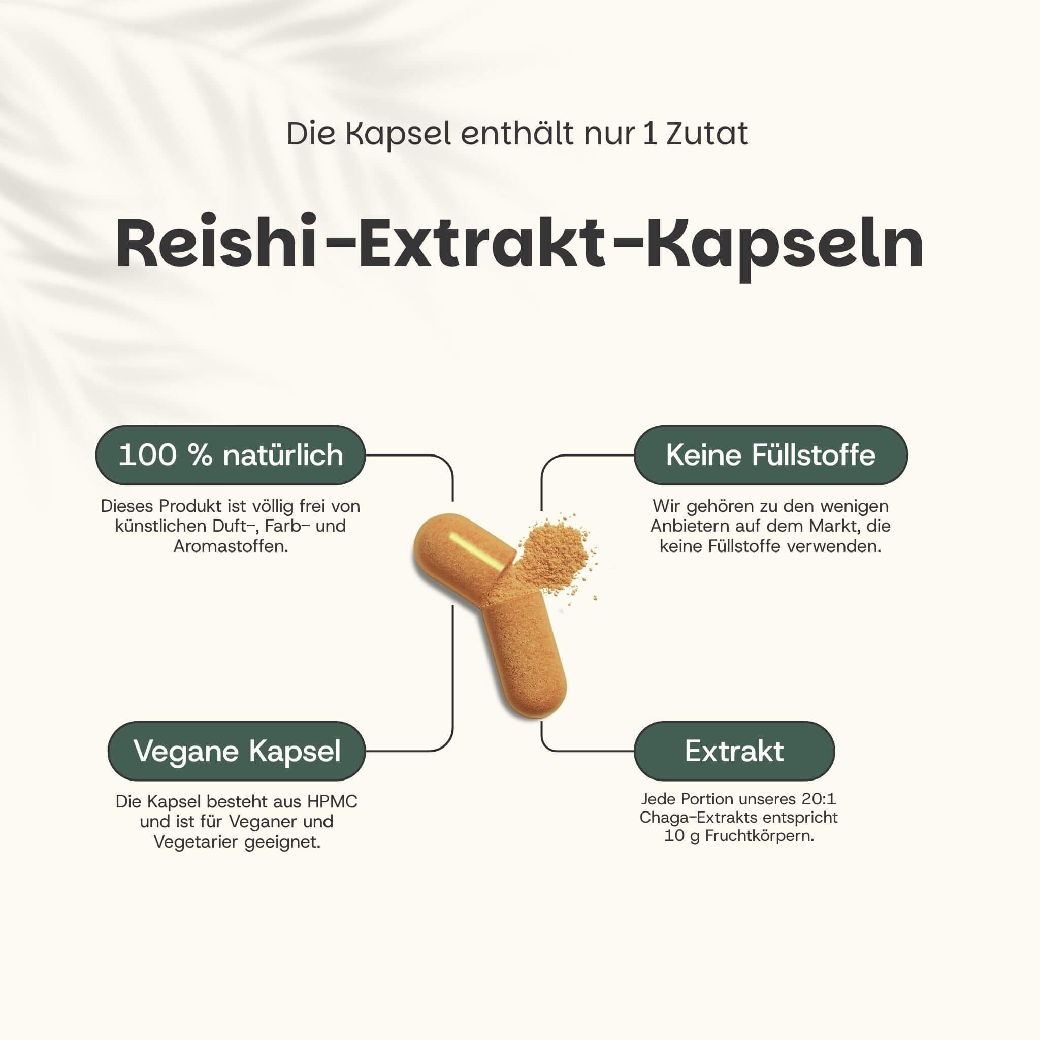 Text: Reishi-Extrakt-Kapseln. 100% natürlich. Keine Füllstoffe. Vegane Kapsel. Extrakt. Kapsel und Pulver.