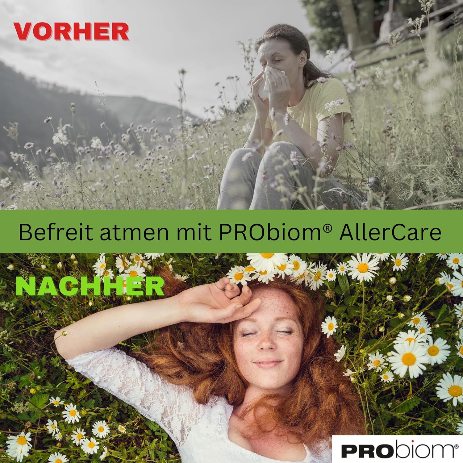 Probiom AllerCare bei überreagierendem Immunsystem