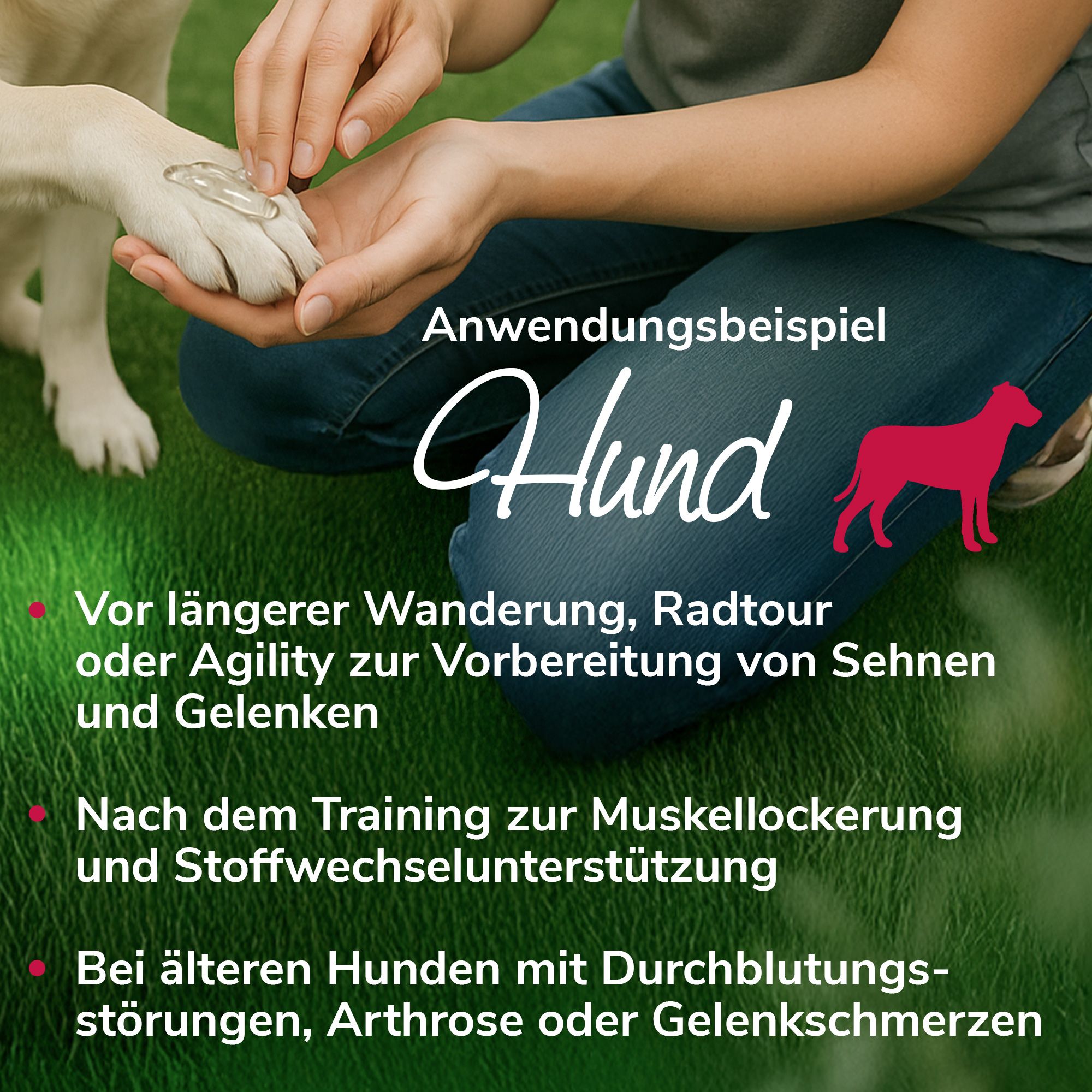 HerzensTier Gelenkwundergel für Pferde, Hunde & Katzen