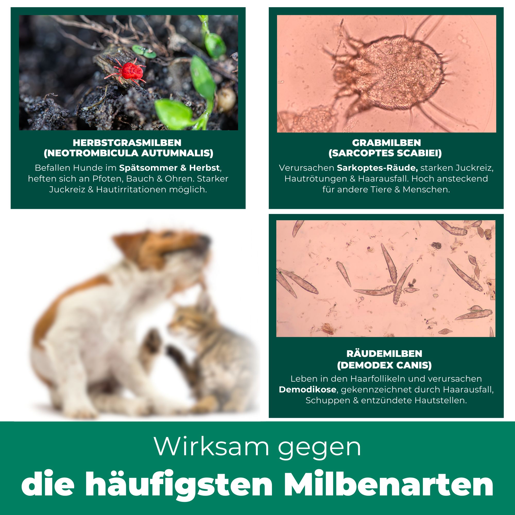 SILBERKRAFT Milbenspray Hunde & Katzen
