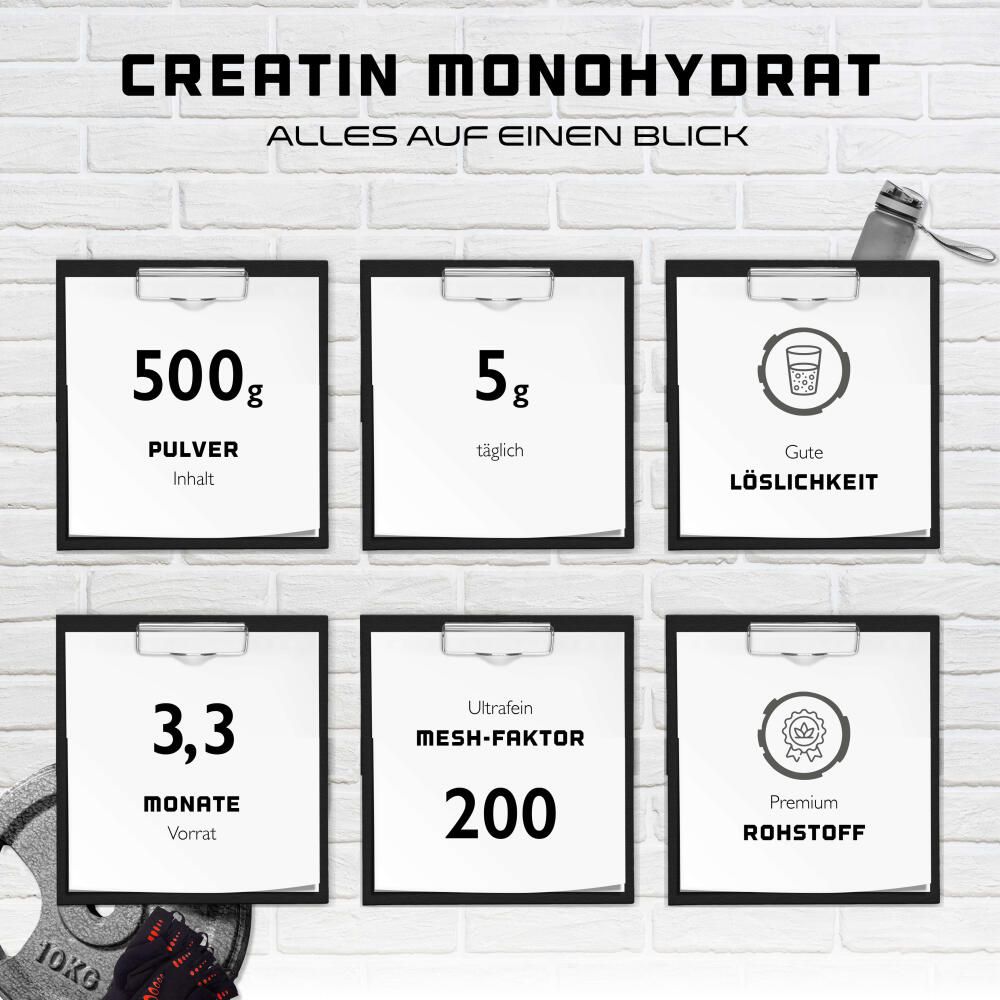 Infografik mit Informationen zu Creatin Monohydrat. Enthält Angaben zu Pulvermenge, täglicher Dosis, Löslichkeit, Vorrat und Mesh-Faktor.