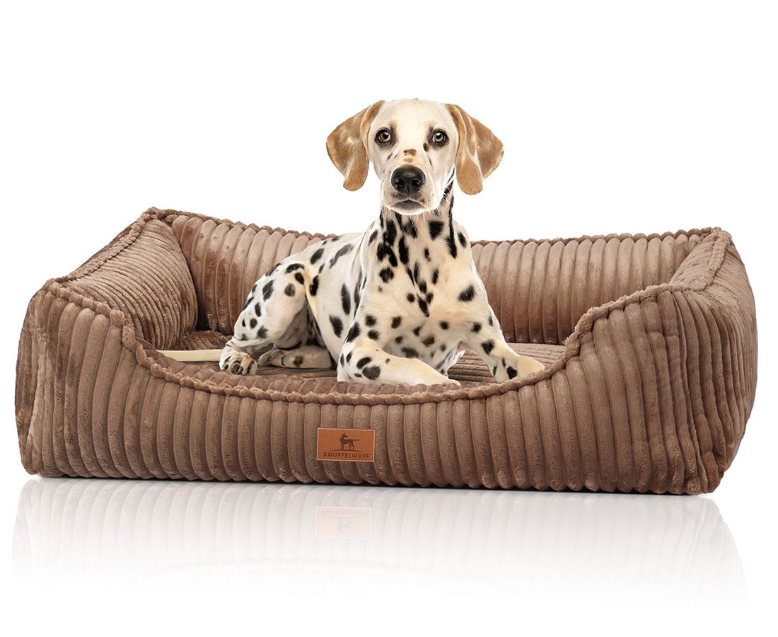 Knuffelwuff orthopädisches Hundebett Sedona