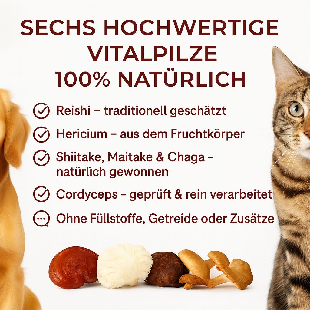 Katze und Hund. Text: Sechs hochwertige Vitalpilze, 100% natürlich. Reishi, Hericium, Shiitake, Maitake, Chaga, Cordyceps.