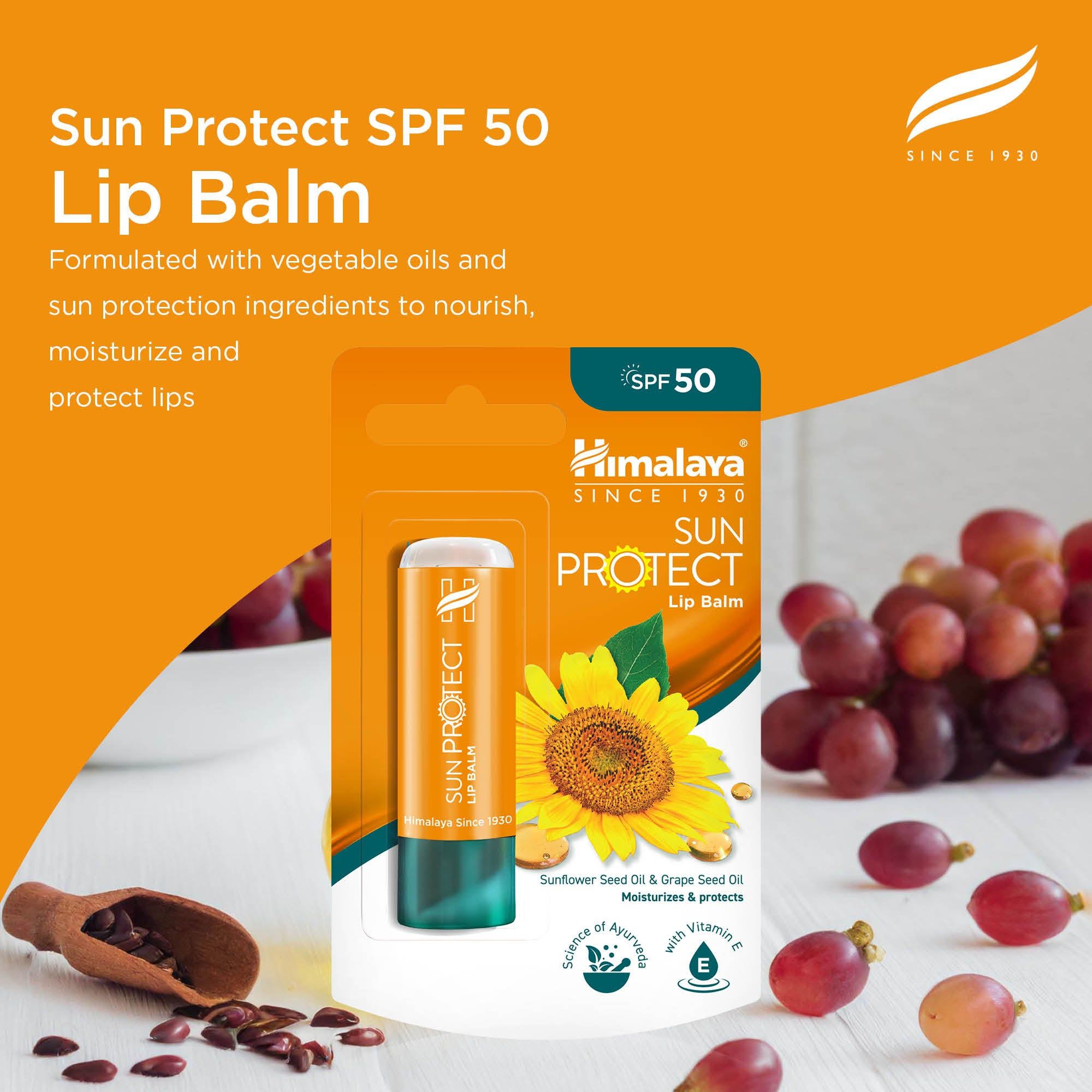 Himalaya Sun Protect Lippenbalsam SPF 50 in Verpackung, mit Sonnenblumen, Trauben und Öl.